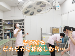 ☆去勢手術実習☆
